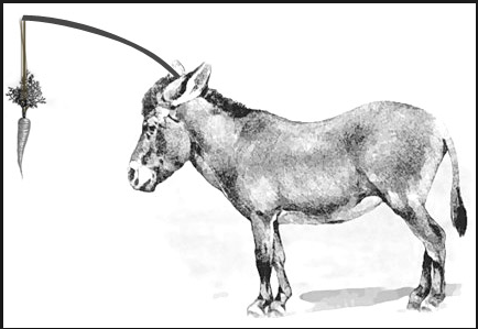 social media donkey carrot